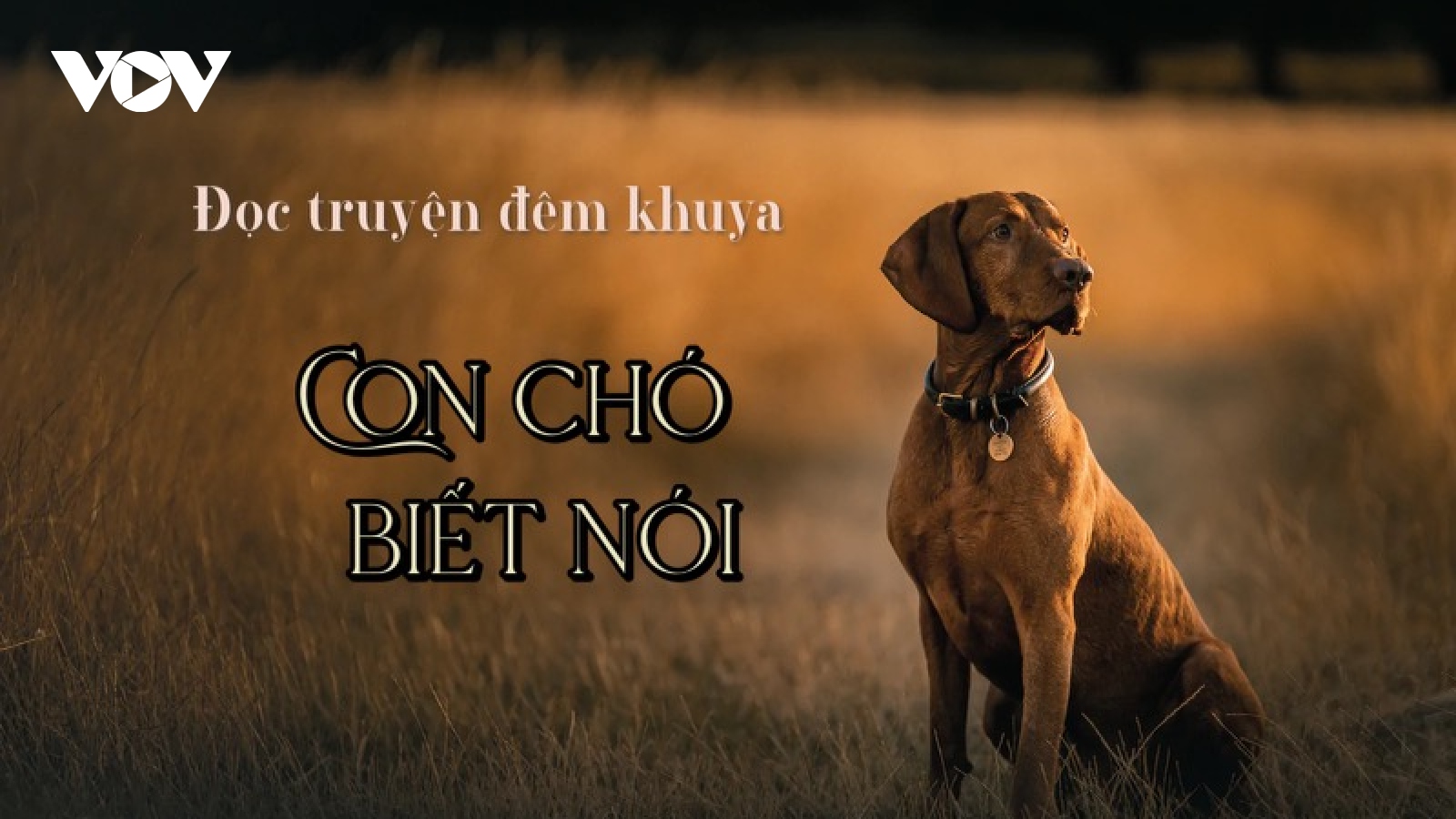 Truyện ngắn "Con chó biết nói" - Sự cô đơn trong đời sống hiện đại